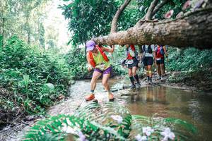 BIB: 
                            <button type="button" onclick="openModal(25459017)" class="btn btn-primary btn-sm float-right btn-popup" data-toggle="modal" data-target=".modal-high-quality">
                        <i class="fas fa-shopping-cart"></i> Add to Cart
                    </button>
                                            <button type="button" onclick="isThisMe(25459017, true)" class="btn btn-success btn-sm float-right btn-popup btn-isme hidden" data-toggle="tooltip" data-placement="bottom" title="นี่คือรูปของคุณใช่ไหม คลิกที่นี่เพื่อเอาเข้าอัลบั้ม">
                        <i class="fas fa-plus"></i> Add to album
                    </button>
                    <button type="button" onclick="isThisMe(25459017, false)" class="btn btn-warning btn-sm float-right btn-popup btn-isnotme hidden">
                        <i class="fas fa-ban"></i> Remove from album
                    </button>